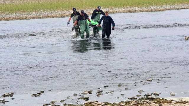 З озера на Львівщині витягли тіло невідомого потопельника