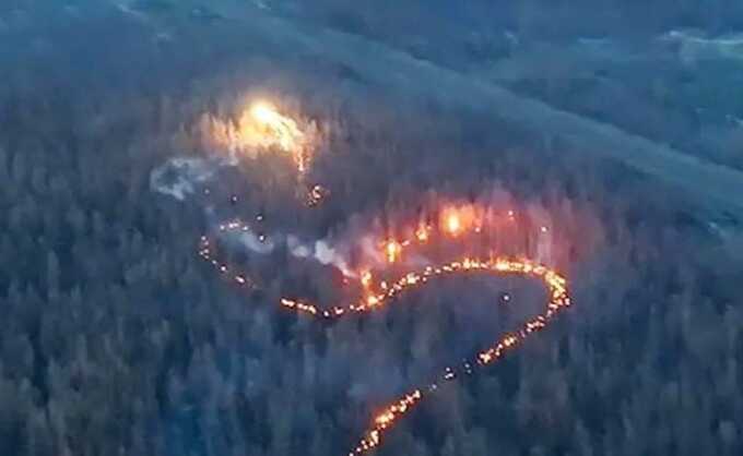 ЗСУ показали нове застосування дрона-дракона під Покровськом